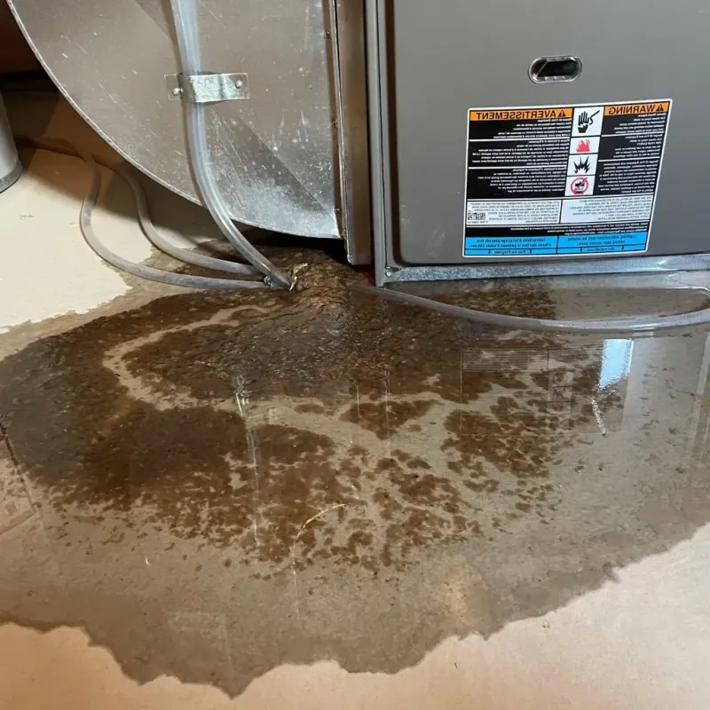 Pipe Burst and Leak Restoration in Terrace Park, OH